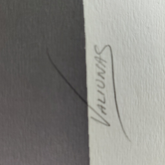 Valiunas Numbered Print "Bon Echo" - Picture 5 of 8